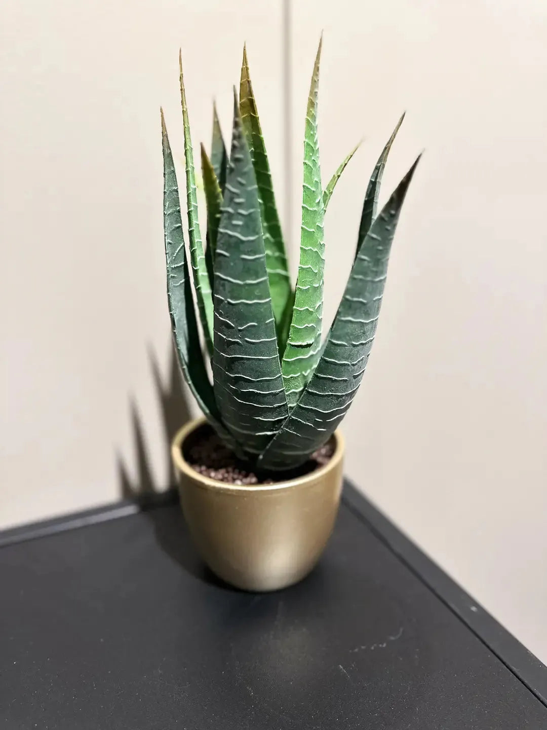 Künstliche Aloe - Patricia | 23 cm | Kunstpflanze von aplanta