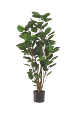 Künstliche Fiederaralie - Milan auf transparentem Hintergrund mit echt wirkenden Kunstblättern. Diese Kunstpflanze gehört zur Gattung/Familie der "Polyscias" bzw. "Kunst-Polyscias".