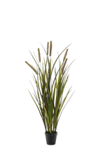 Hochwertiges Kunstgras auf transparentem Hintergrund mit echt wirkenden Kunstblättern in natürlicher Anordnung. Künstliches Gras - Patrizia hat die Farbe Grün und ist 85 cm hoch. | aplanta Kunstpflanzen