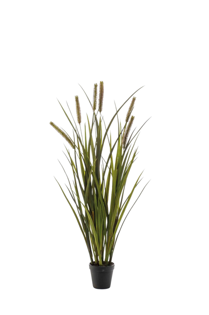 Hochwertiges Kunstgras auf transparentem Hintergrund mit echt wirkenden Kunstblättern in natürlicher Anordnung. Künstliches Gras - Patrizia hat die Farbe Grün und ist 85 cm hoch. | aplanta Kunstpflanzen