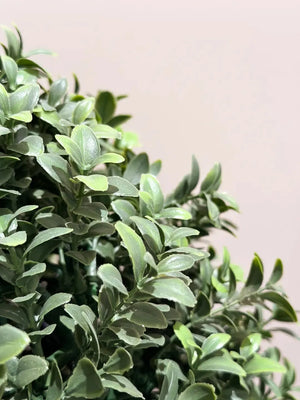 Künstlicher Buchsbaum-Ball – Corvyn | 53 cm