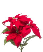 Künstliche Poinsettia - Arthur auf transparentem Hintergrund mit echt wirkenden Kunstblättern in natürlicher Anordnung. Künstliche Poinsettia - Arthur hat die Farbe Natur und ist 32 cm hoch. | aplanta Kunstpflanzen