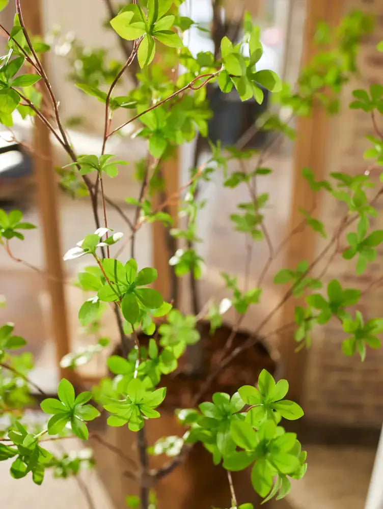 Künstliche Tropaeolum Speciosum - Helga | 210 cm