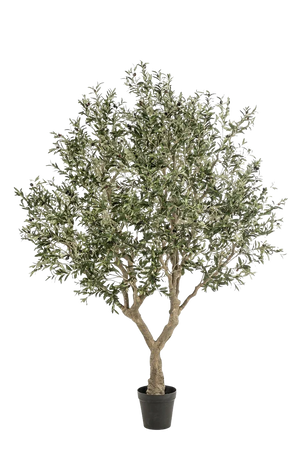 Künstlicher Olivenbaum - Mars | 250 cm