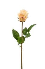 Hochwertige Hortensie künstlich auf transparentem Hintergrund mit echt wirkenden Kunstblättern in natürlicher Anordnung. Künstliche Rose - Luna hat die Farbe Gelb und ist 58 cm hoch. | aplanta Kunstpflanzen