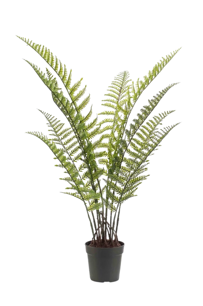 Künstlicher Woodwardia Farn - Golo, 90 cm, Kunstpflanze von aplanta, UV-beständig, in Natur, für draußen
