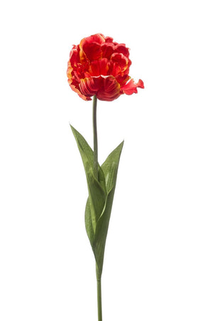 Künstliche Tulpe rot, 66 cm, von aplanta