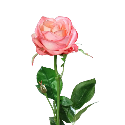 Künstliche Rose - Sokrates, 66 cm, Kunstblume von aplanta, Real Touch, in Pink, für drinnen