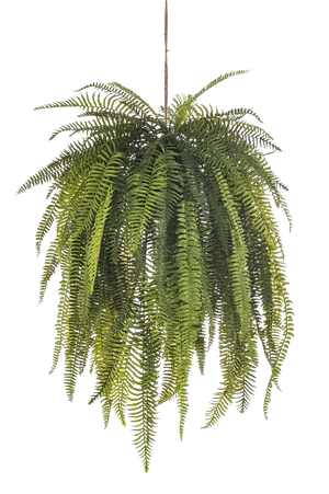 Künstlicher Hänge-Farn - Mila | 140 cm