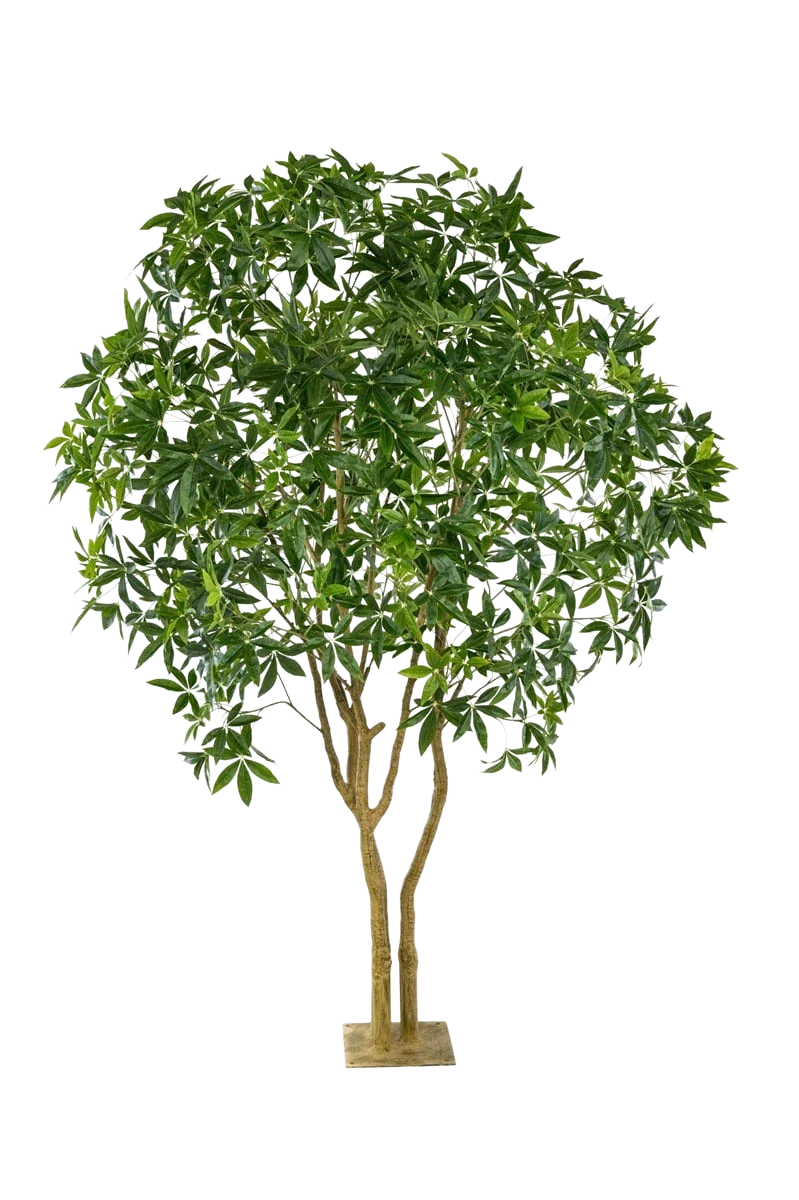 Künstliche Glückskastanie - Mitsu | 285 cm