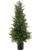 Kunst ceder - Mira | 90 cm