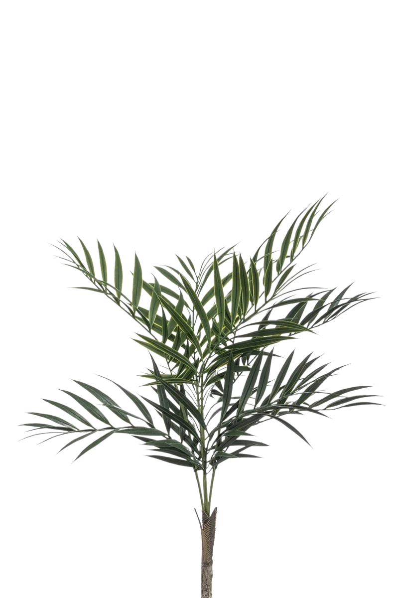 Künstliche Palme - Koa | 60 cm