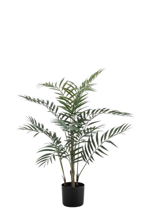 Künstliche Palme - Denver | 90 cm