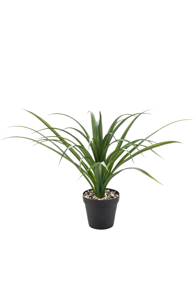 Künstliche Yucca - Basti | 35 cm