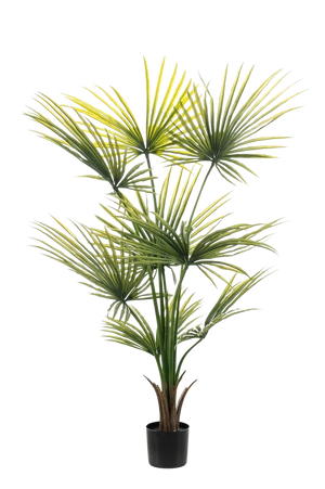 Künstliche Palme - Zaron | 120 cm