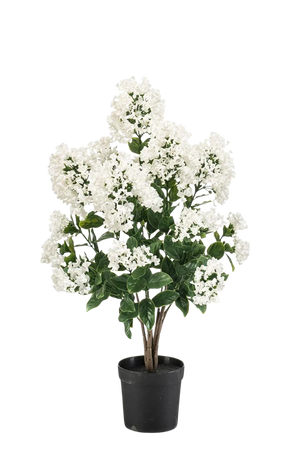 Künstlicher Flieder - August | 65 cm
