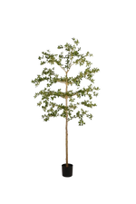 Künstlicher schwarzer Olivenbaum - Finja, 210 cm, Kunstbaum von aplanta, in Grün, für drinnen