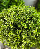 Künstlicher Buchsbaum - Rayan | 105 cm | Kunstbaum von aplanta