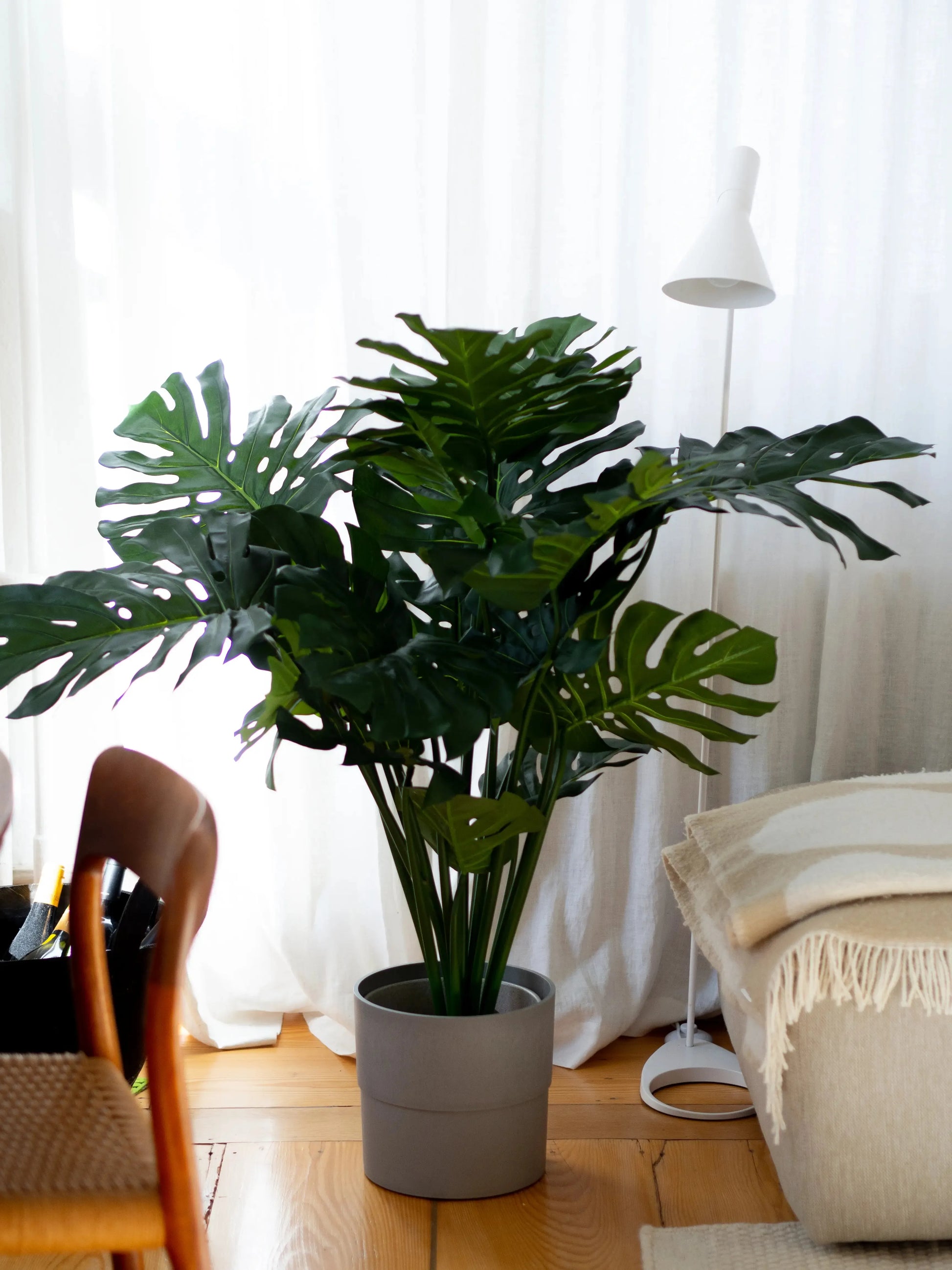 Künstliche Monstera - Thilo | 80 cm