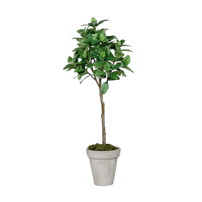 Künstlicher Kaffeebaum - Albus, 150 cm, Kunstbaum von aplanta, im schwarzen Topf, in Grün, für drinnen
