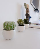 Kunst Succulenten Kaketeen 3 stuks - Bambo | 8 cm, witte keramische pot