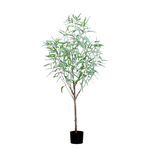 Hochwertiger Eukalyptus künstlich auf transparentem Hintergrund mit echt wirkenden Kunstblättern in natürlicher Anordnung. Künstlicher Eukalyptus - Manfred hat die Farbe Grün und ist 165 cm hoch. | aplanta Kunstpflanzen