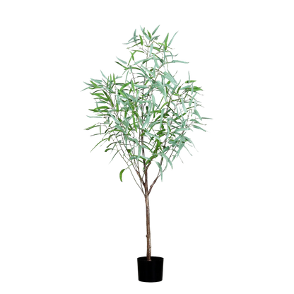 Hochwertiger Eukalyptus künstlich auf transparentem Hintergrund mit echt wirkenden Kunstblättern in natürlicher Anordnung. Künstlicher Eukalyptus - Manfred hat die Farbe Grün und ist 165 cm hoch. | aplanta Kunstpflanzen