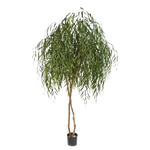 Künstliche Weide - Pepe auf transparentem Hintergrund mit echt wirkenden Kunstblättern in natürlicher Anordnung. Künstliche Weide - Pepe hat die Farbe Grün und ist 240 cm hoch. | aplanta Kunstpflanzen