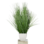 Hochwertiges Kunstgras auf transparentem Hintergrund mit echt wirkenden Kunstblättern in natürlicher Anordnung. Künstliches California-Beach-Gras - Arian hat die Farbe Natur und ist 78 cm hoch. | aplanta Kunstpflanzen