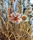 Kunstweide bloemen - Ambre | 50 cm