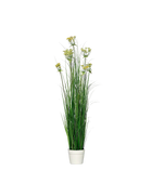 Hochwertiges Kunstgras auf transparentem Hintergrund mit echt wirkenden Kunstblättern in natürlicher Anordnung. Künstliches Gras im Topf - Beatrice hat die Farbe Natur und ist 115 cm hoch. | aplanta Kunstpflanzen