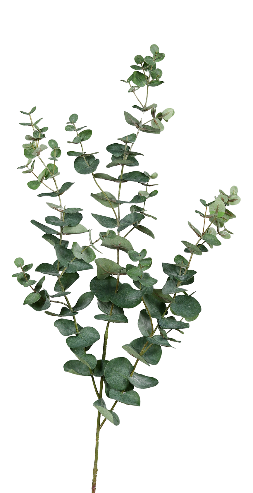 Kunst Eucalyptus tak - Coca | 115 cm