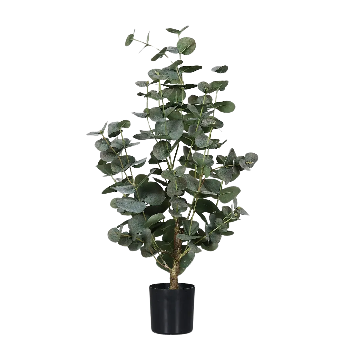 Künstlicher Eukalyptus - Ace | 60 cm