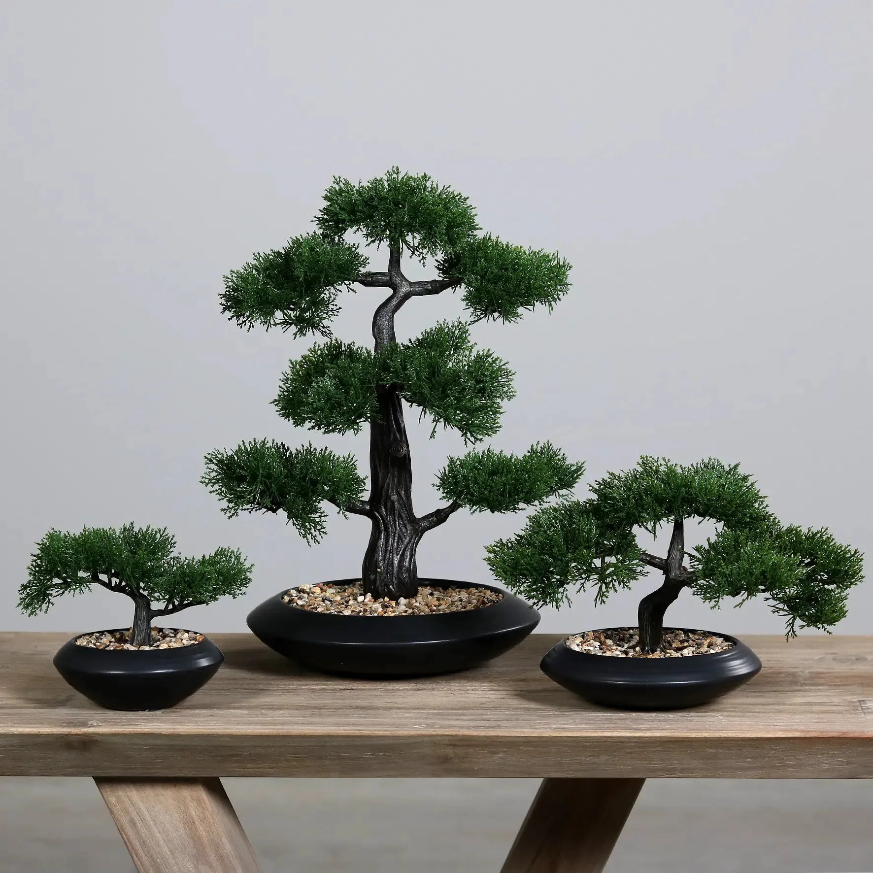 Künstlicher Zedern-Bonsai - Roy | 44 cm | in schwarzer Schale - Kunstpflanzen von aplanta