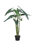 Künstliche Alocasia - Marco | 100 cm