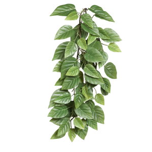Künstlicher Hänge-Pothos - Mirabel | 75 cm