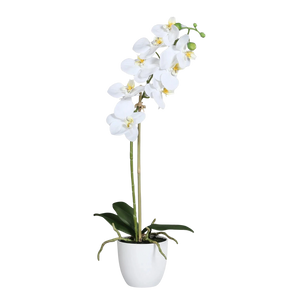 Künstliche Orchidee - Luca | 54 cm