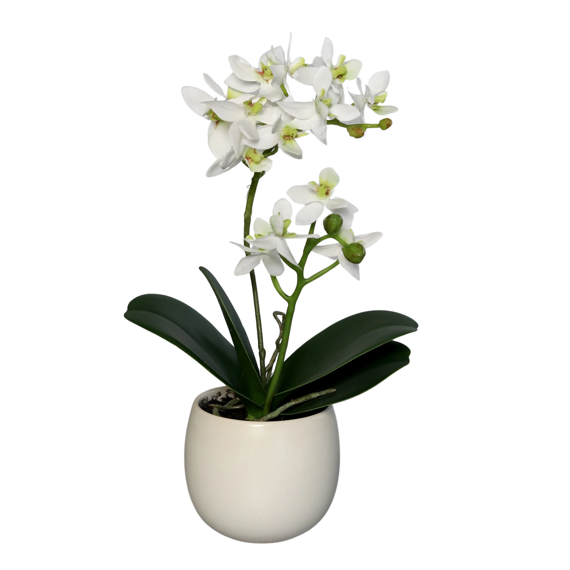 Künstliche Orchidee - Ishak | 30 cm | im Keramiktopf