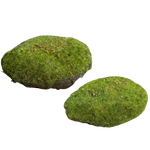 Deko Moosschwamm - Hanni auf transparentem Hintergrund mit echt wirkenden Kunstblättern in natürlicher Anordnung. Deko Moosschwamm - Hanni hat die Farbe Natur und ist 10 cm hoch. | aplanta Kunstpflanzen