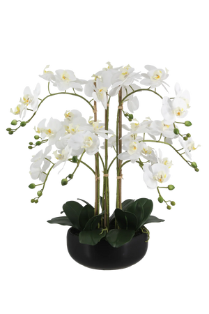 Künstliche Orchidee - Bo | 65 cm