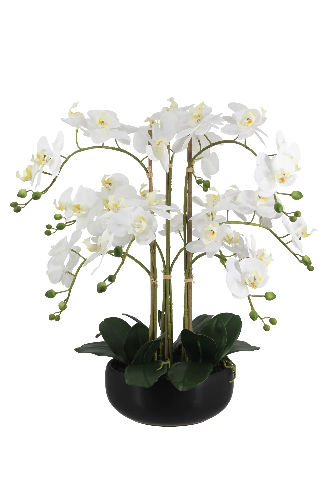 Künstliche Orchidee - Bo | 65 cm