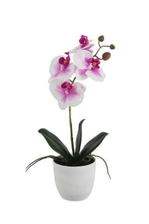 Künstliche Orchidee - Dan | 36 cm