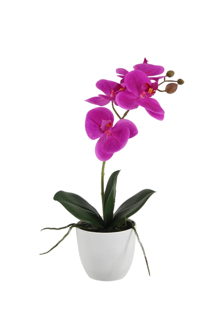 Künstliche Orchidee - Juan, 35 cm, Kunstblume von aplanta, inkl. Dekotopf, Real Touch, in Lila, für drinnen