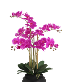Künstliche Orchidee - Li | 67 cm