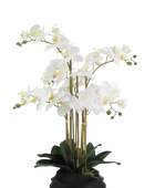 Künstliche Orchidee - Chi | 67 cm