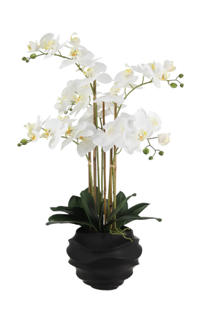 Künstliche Orchidee - Chi | 67 cm