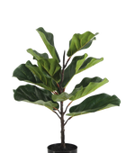 Künstlicher Ficus Lyrata - Luan | 60 cm
