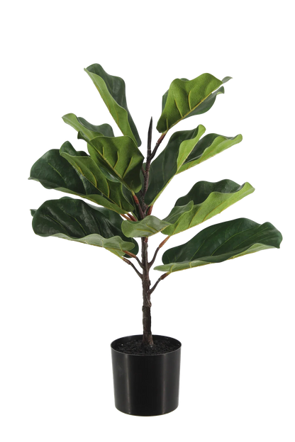 Künstlicher Ficus Lyrata - Luan, 60 cm, Kunstbaum von aplanta, in Grün, für drinnen