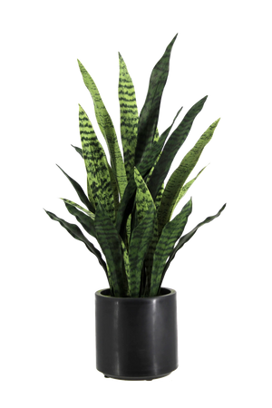 Künstlicher Bogenhanf - Nero | 90 cm