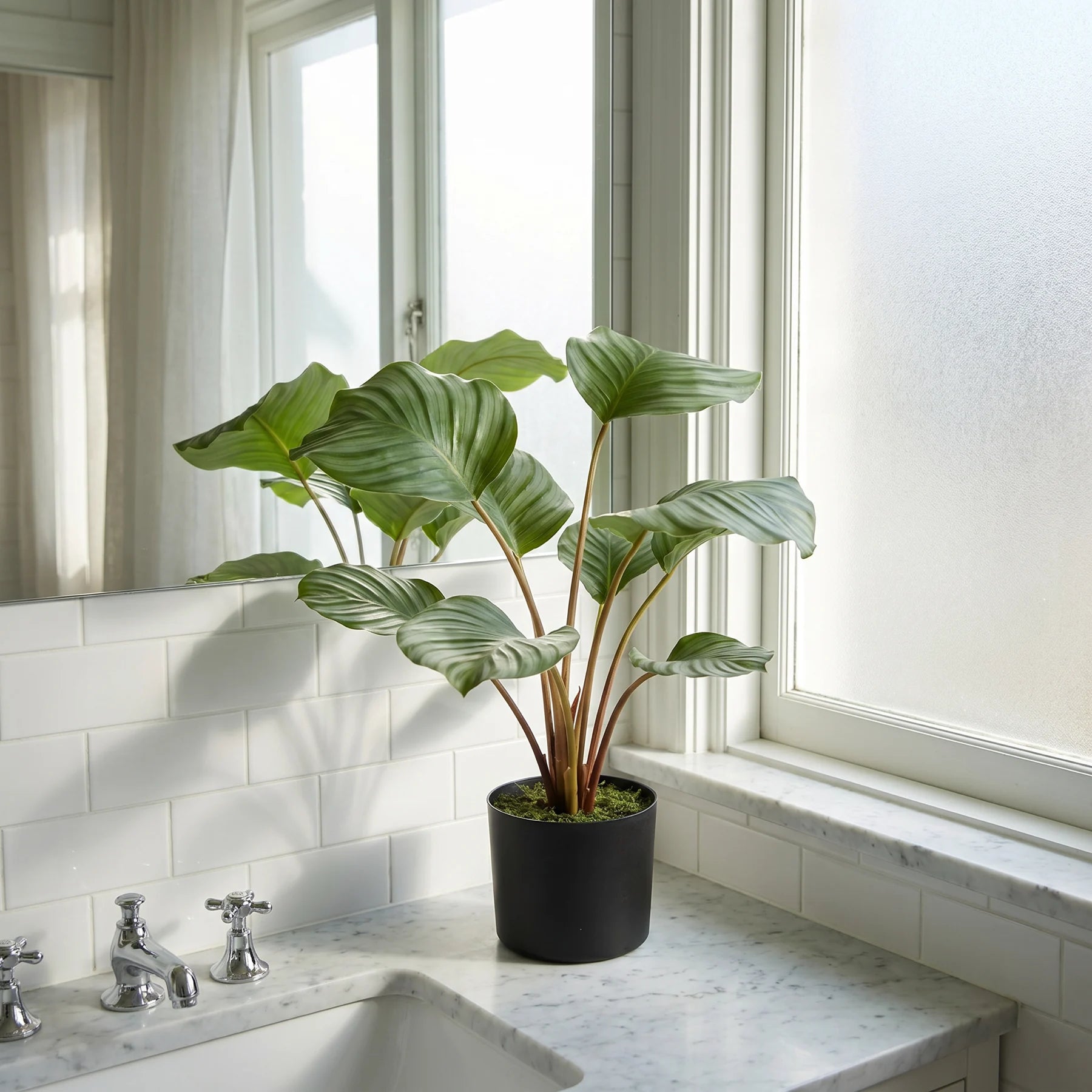 Künstliche Calathea - Silvina, 45 cm, Kunstpflanze von aplanta, Real Touch, in Grün, für drinnen
